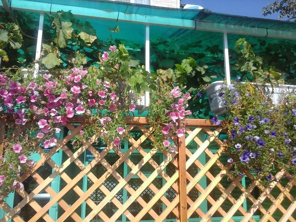 Гостевой дом Надежда Абинск-5