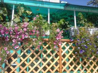 Гостевой дом Надежда Абинск-1